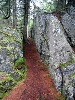 Duck Harbor Mountain Trail